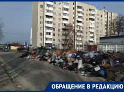 Помойное бедствие беспокоит чувства и обоняние жителей Воронежа