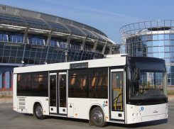 Маршрутные автобусы могут быть прохладными и комфортными