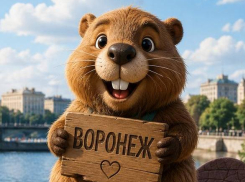 Как не замерзнуть, не промокнуть и не сгореть за три дня в Воронеже 