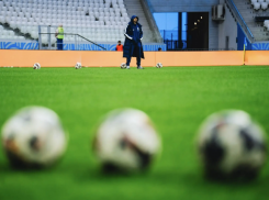 Вновь сократилась прибыль у воронежского ФК «Факел» 