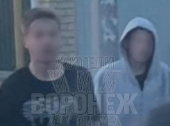 «Что за звери растут?» – драка школьников и мужчины попала на видео в Воронеже