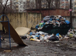 В Воронеже очередной мусорный апокалипсис возник около детской площадки
