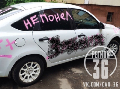 Художественное наказание получил водитель в Воронеже