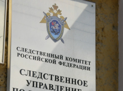 В Воронежской области мужчина до смерти избил знакомую из-за мобильного