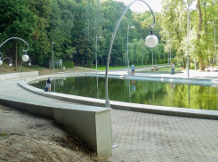 Пруд воронежского Центрального парка обносят металлическим ограждением