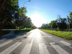 Родственники сбитой в Воронеже 20-летней студентки просят помочь найти свидетелей ДТП