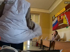 Танцующая «клоунесса» прикрыла собой возможный вброс на УИК в Воронежской области  