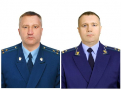 Новых прокуроров назначили в двух районах Воронежской области