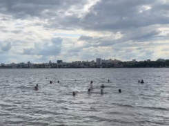 Массовое купание устроили воронежцы в парке