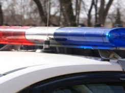 В Воронеже две школьницы помогли поймать несовершеннолетнего грабителя