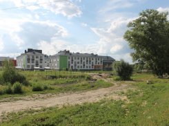 «Детям предстоит идти вдоль лесополосы»: общественники показали неприглядное окружение новой воронежской школы