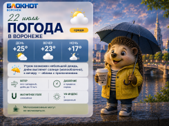 То дождь, то солнце, то гроза: прогноз погоды в Воронеже
