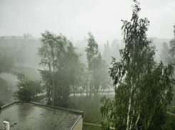 Из-за ливней с грозой и градом в Воронеже объявлено штормовое предупреждение