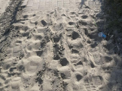 Песок в сандалии: тротуар в Воронеже превратился в пляж