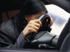 В Воронежской области автоледи на «Мазде» набрала себе 19 штрафов