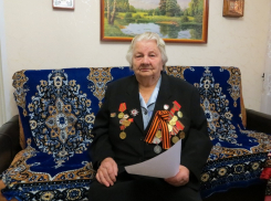 Фронтовичка попросила Путина направить силы ФСБ к воронежским чиновникам