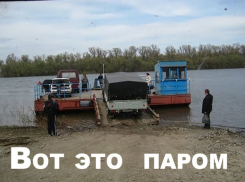 Паром через Дон потребовали жители Богучара от воронежского губернатора Гусева