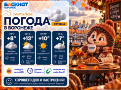 Солнышко улыбнулось городу: прогноз погоды в Воронеже