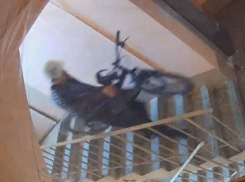 Двухколёсного коня нагло стащили на виду у полицейских в Воронеже