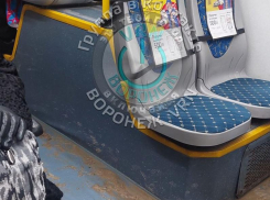 «Как же надоело такое хамское отношение», – жительницу Воронежа вывел из себя водитель автобуса