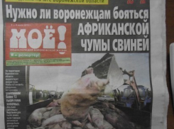 Популярная газета «МОЁ!» прогнулась перед и.о. мэра Воронежа