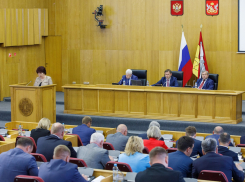 Скорострельное заседание: облдума Нетесова увеличила своё содержание до 400 млн рублей и ушла на каникулы
