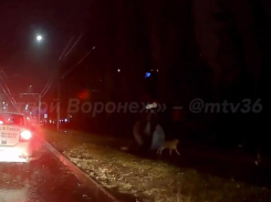 Собаки напали на мужчину возле кладбища в Воронеже – опубликовано видео