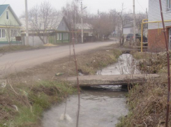 Пострадавшим в экологическом бедствии в Борисоглебске заплатят более 200 тысяч рублей