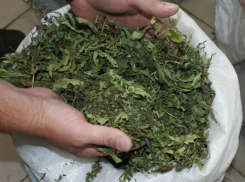 В Воронежской области у подозреваемого в квартирной краже мужчины нашли марихуану