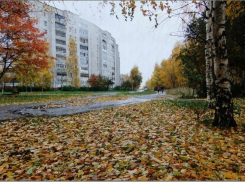 Полицейские нашли преступника, убившего прохожего из-за грубого слова