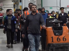 Полицейские устроили рейд по мигрантам в распределительном центре «Магнита» под Воронежем