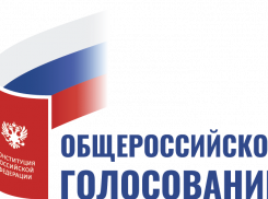 В Воронежской области началось голосование по поправкам в Конституцию