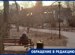 Такое себе зрелище показали в воронежском сквере «Роща Сердца»
