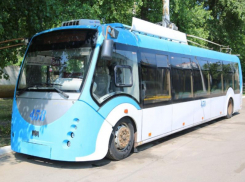 Опубликовано фото новых б/у троллейбусов, которые Воронеж докатает за Белгородом