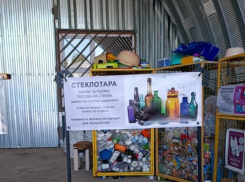 Правило трёх R: можно ли спасти экологию Воронежа 