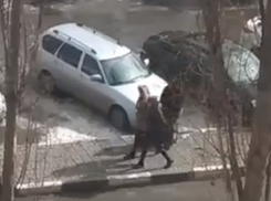 Банда цыганок, орудующая на парковке около воронежского ТЦ, попала на видео