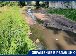 Жидкие фекалии преграждают путь к воронежской школе 