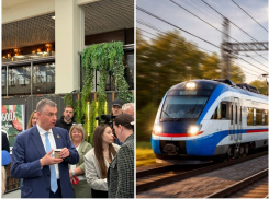 Председатель ЛДПР Слуцкий опять показал «отсталость» в теме воронежских электричек