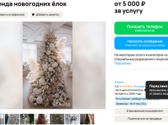 Брать новогодние ёлки в аренду предложили жителям Воронежа 