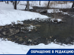 Видеодневник коммунального безразличия ведет воронежец на берегу фекального пруда 