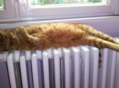 Воронежские детские сады и больницы готовы к отопительному сезону