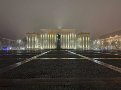 Кому принадлежит реальная власть в Воронеже, выяснили социологи «Квалитаса»