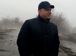 Глава Подгоренского района Максим Данилов отмечает 41-летие в Воронежской области