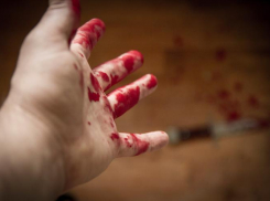 Очевидцы: в Воронеже зверски убили двух человек, а ребенка ударили топором по голове