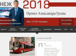 Александр Гусев через шесть месяцев работы мэром разошелся с программой действий