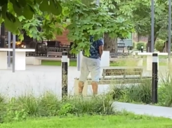 Проблема отсутствия уличных туалетов в Воронеже вылилась прямо на проспект Революции