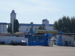 За невыплату зарплат главу воронежского хлебокомбината осудили условно на 4 года