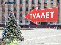 Десятки мобильных туалетов установят в центре Воронежа возле «новогодней елочки за 15 млн рублей» 