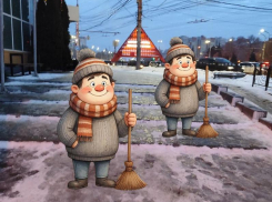 Кто бы мог подумать: самыми дефицитными специалистами Воронежской области стали дворники