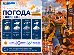 На пару градусов теплее: прогноз погоды в Воронеже